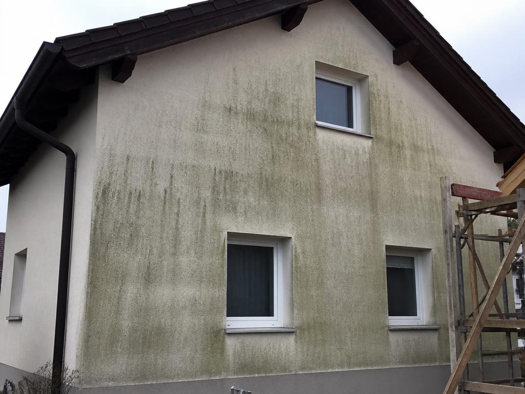 Fassadenreinigung – vorher