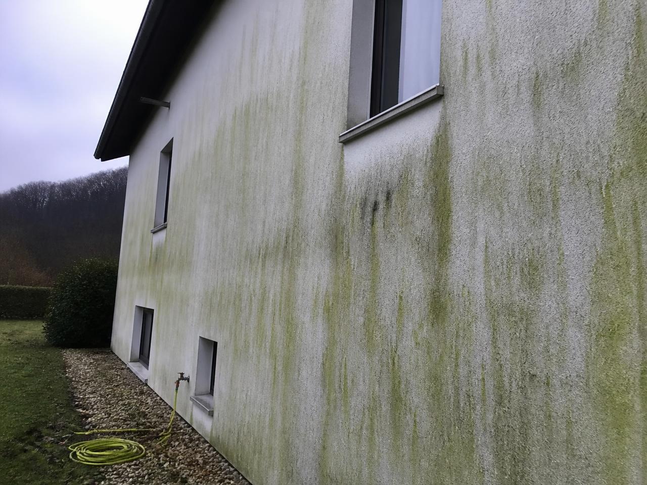 Fassadenreinigung Einfamilienhaus – vorher